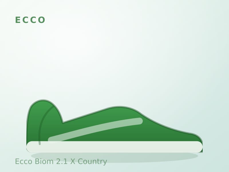 Ecco Biom 2.1 X Country