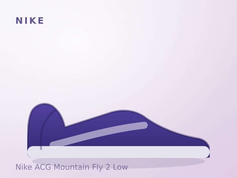 Nike ACG Mountain Fly 2 Low