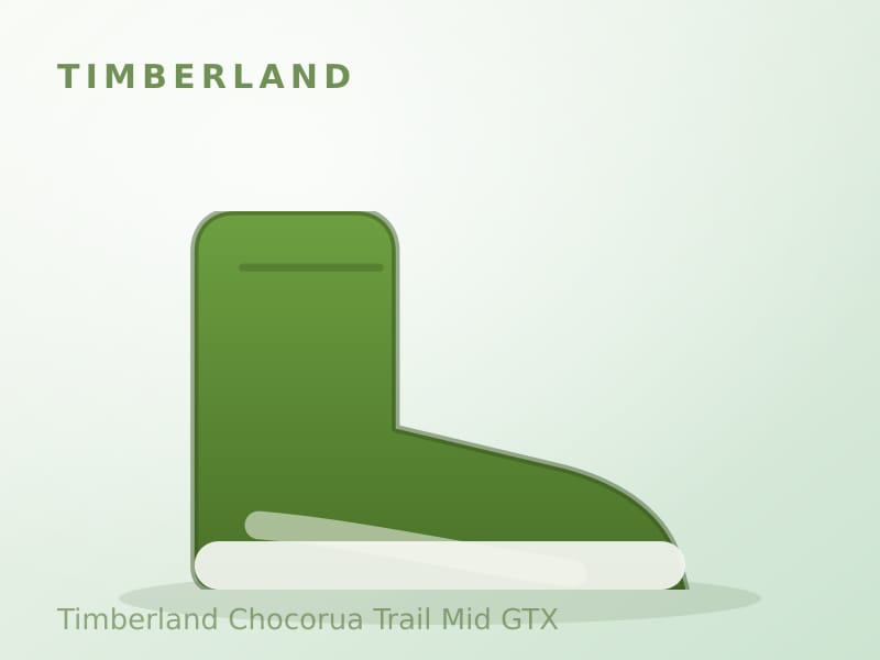 Timberland Chocorua Trail Mid GTX